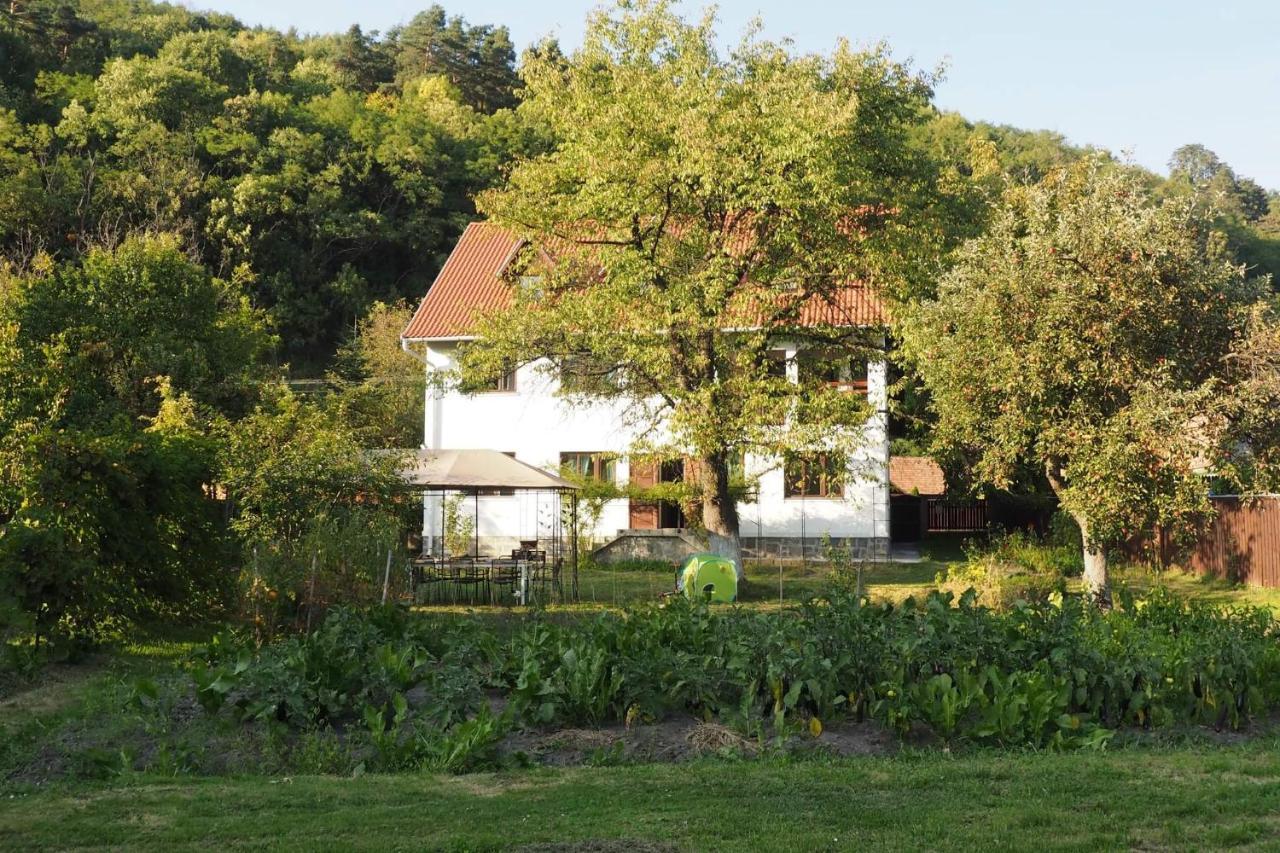 Hotel Casa Bucataria Fonix Praid Zewnętrze zdjęcie